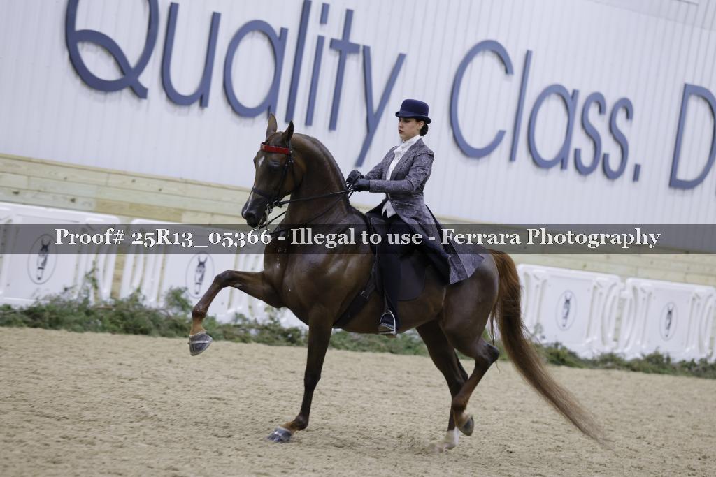 Proof Number 25R13_05366