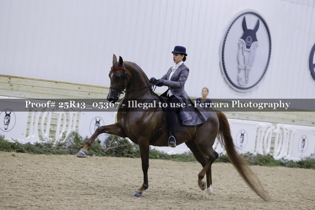 Proof Number 25R13_05367