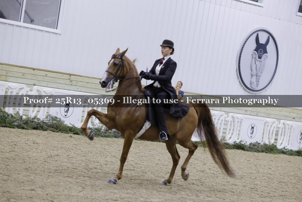Proof Number 25R13_05369