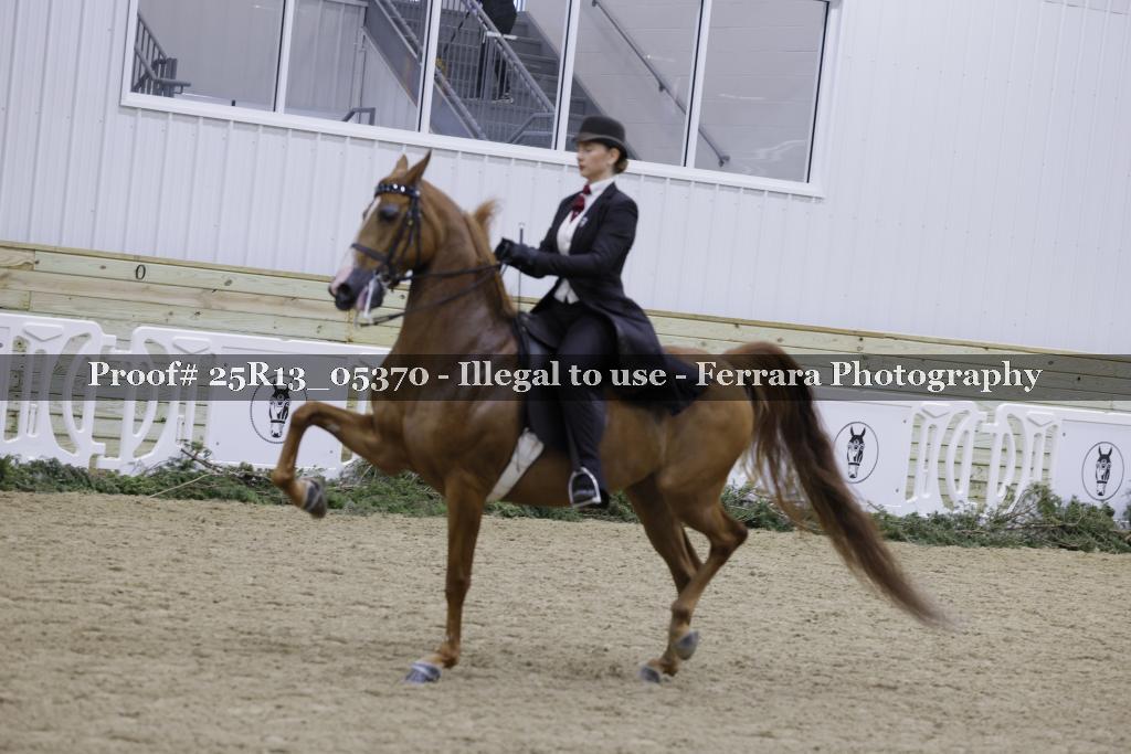 Proof Number 25R13_05370