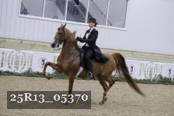 25R13_05370 thumbnail