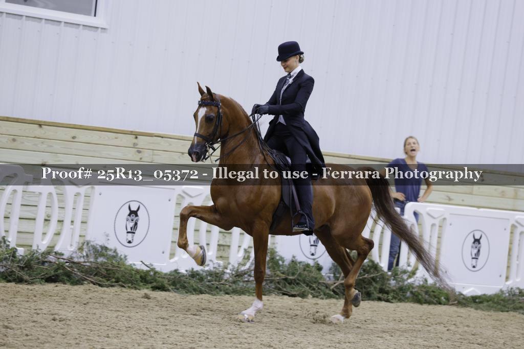 Proof Number 25R13_05372