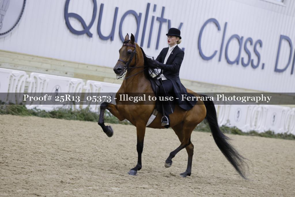 Proof Number 25R13_05373