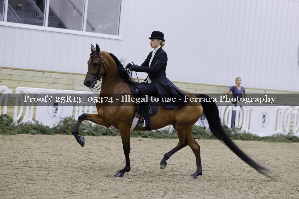 Proof Number 25R13_05374