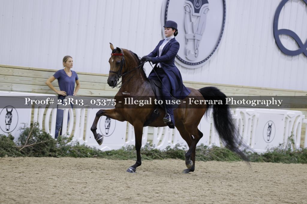 Proof Number 25R13_05375