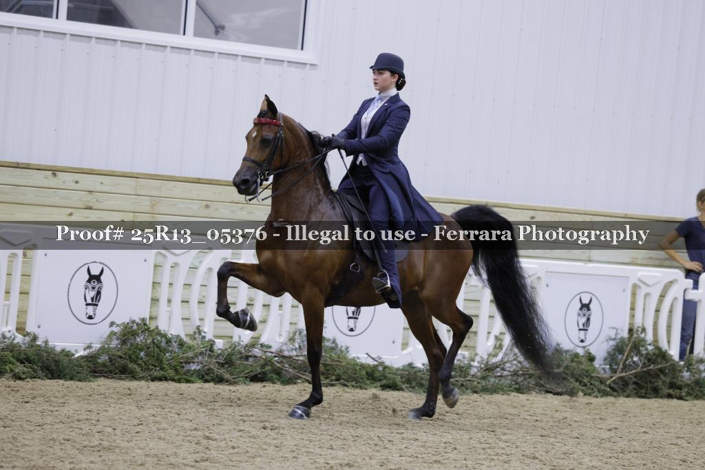 Proof Number 25R13_05376