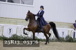 25R13_05376 thumbnail