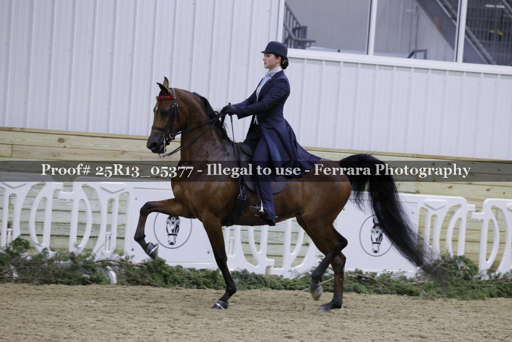 Proof Number 25R13_05377
