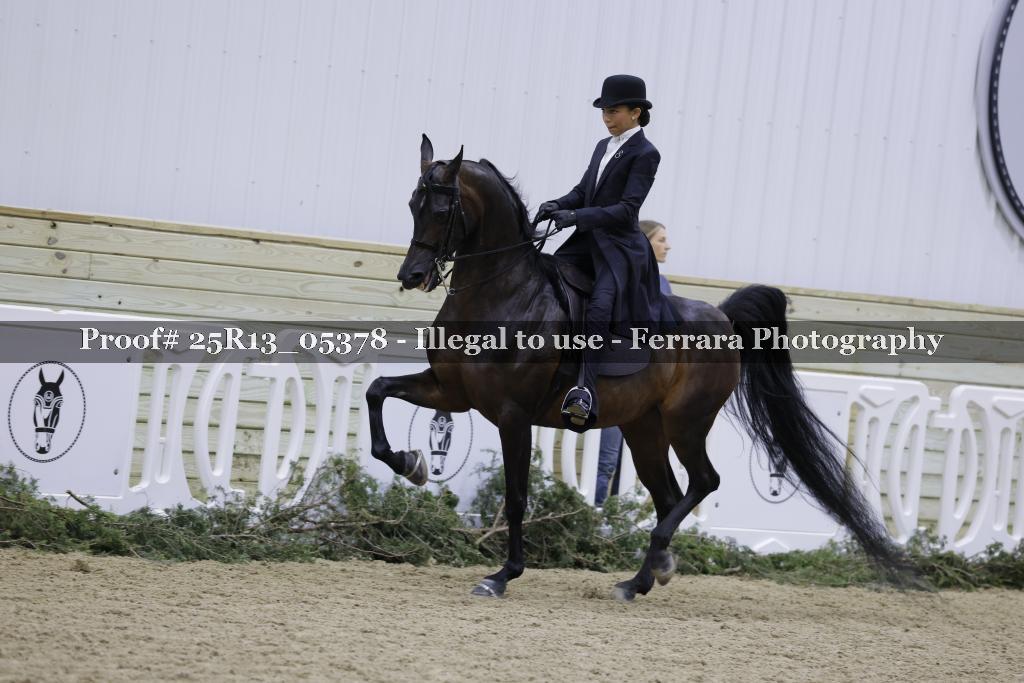 Proof Number 25R13_05378