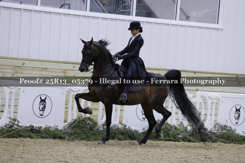 Proof Number 25R13_05379