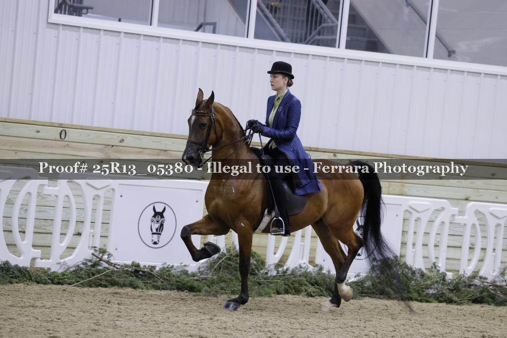 Proof Number 25R13_05380