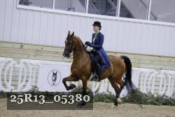 25R13_05380 thumbnail