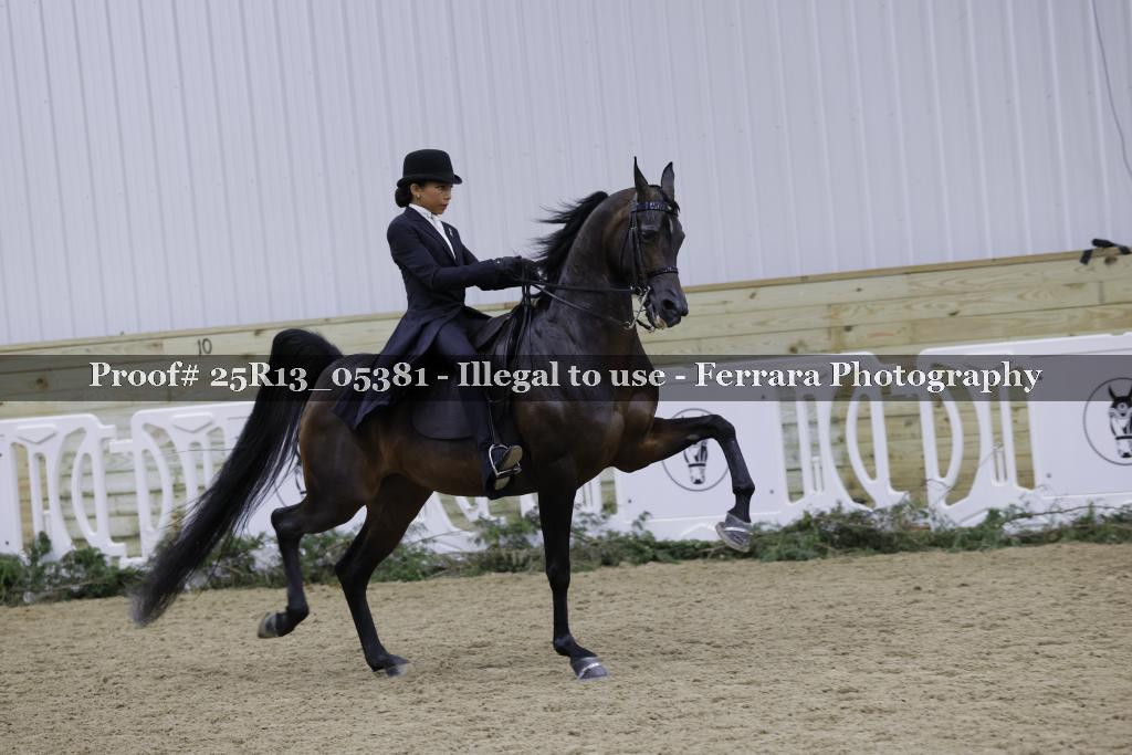 Proof Number 25R13_05381