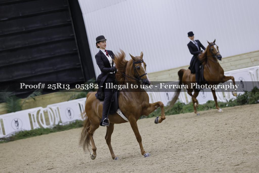 Proof Number 25R13_05382