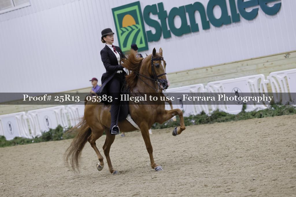 Proof Number 25R13_05383