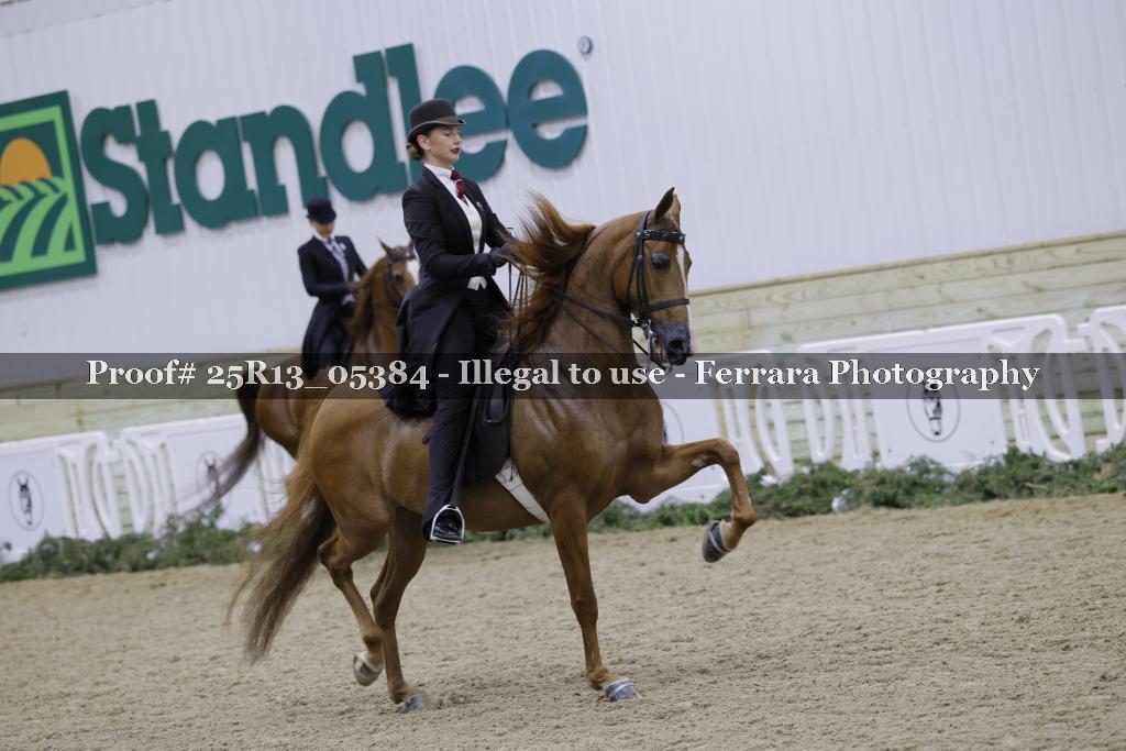 Proof Number 25R13_05384