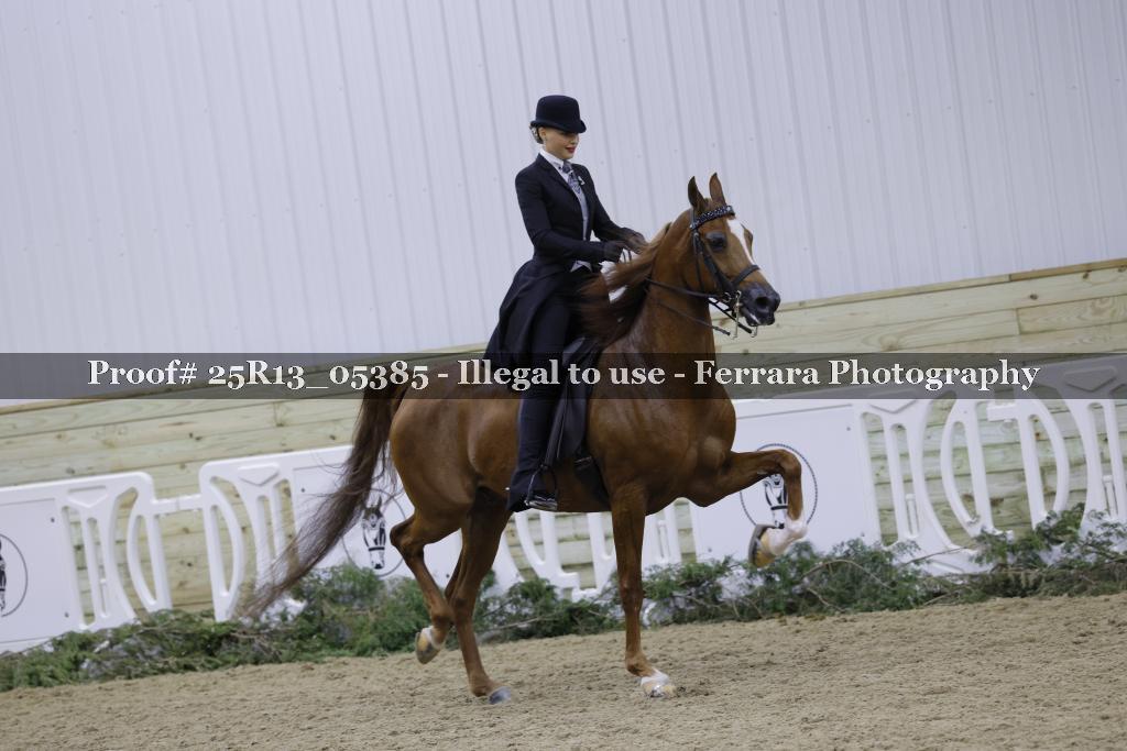 Proof Number 25R13_05385