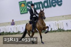 25R13_05386 thumbnail