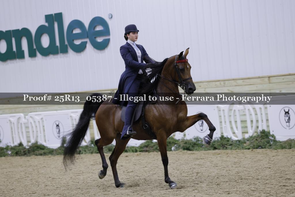 Proof Number 25R13_05387