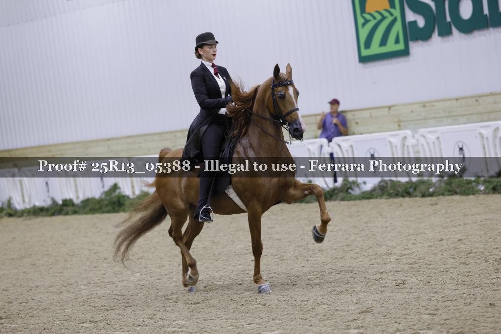 Proof Number 25R13_05388
