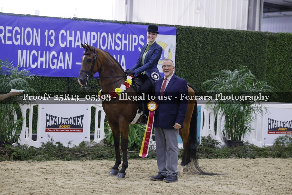 Proof Number 25R13_05393