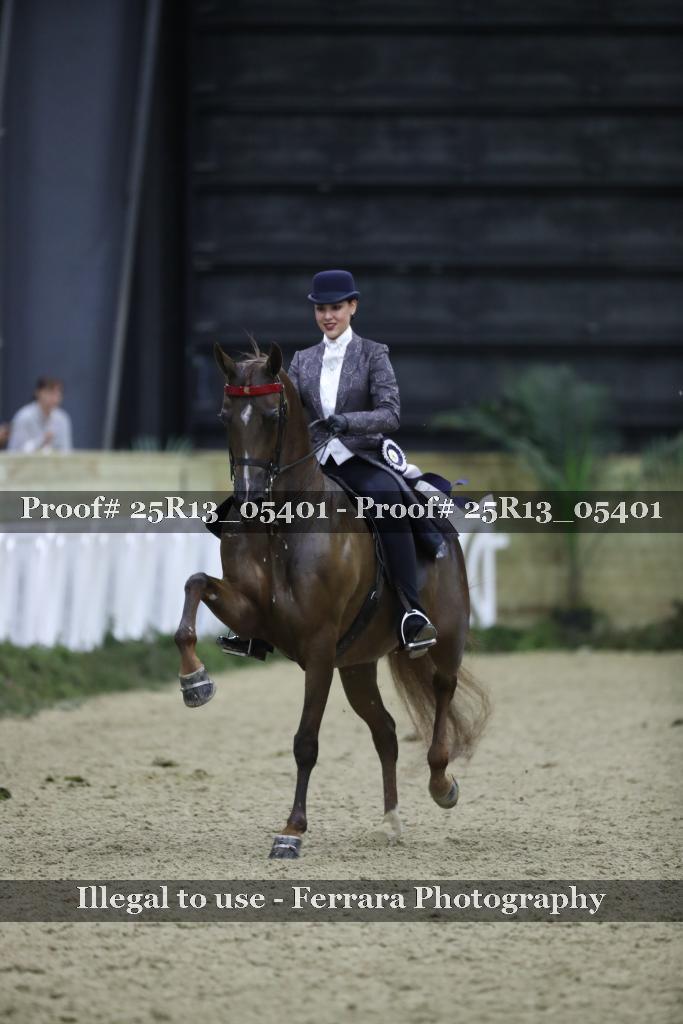 Proof Number 25R13_05401
