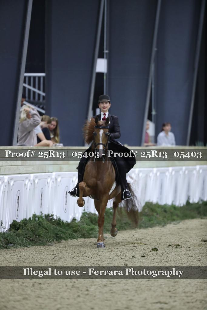 Proof Number 25R13_05403