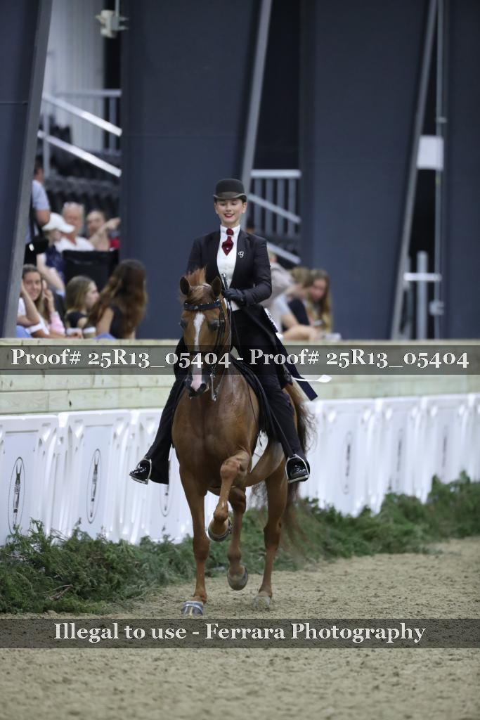 Proof Number 25R13_05404