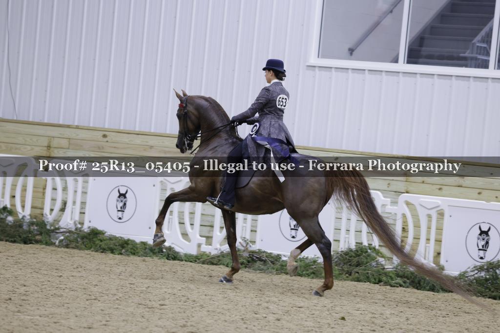 Proof Number 25R13_05405