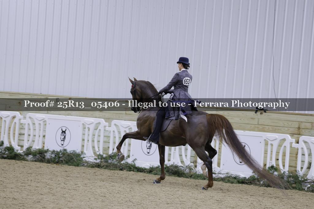 Proof Number 25R13_05406