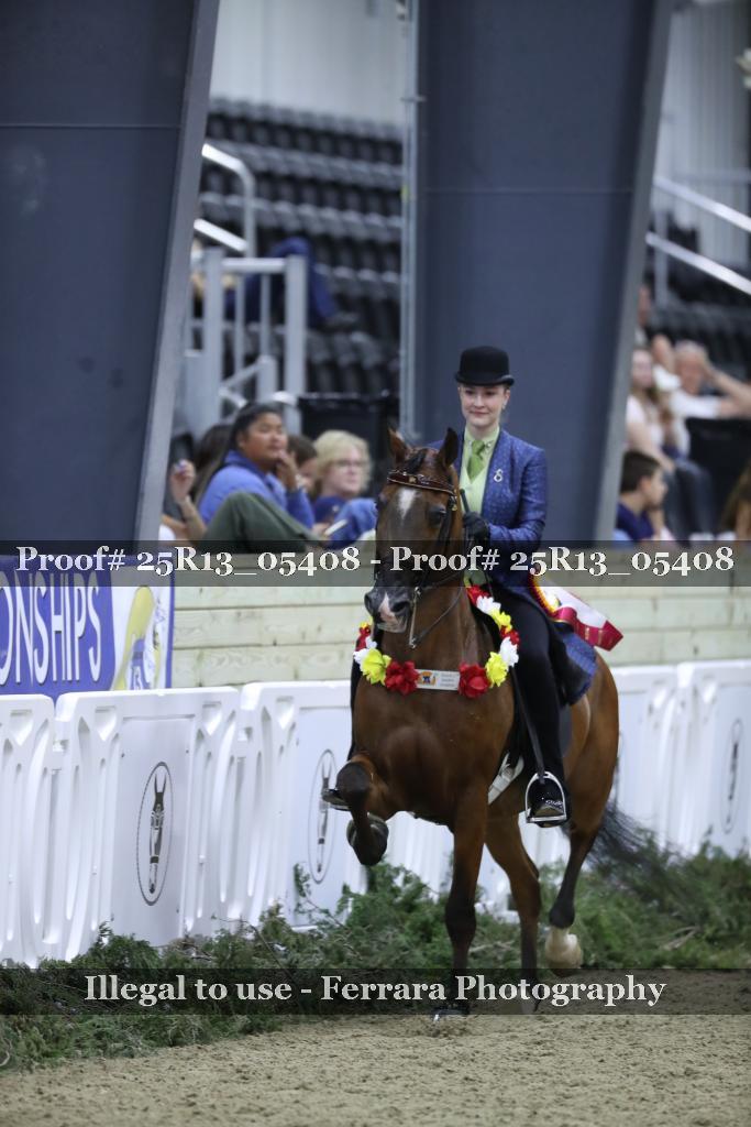 Proof Number 25R13_05408