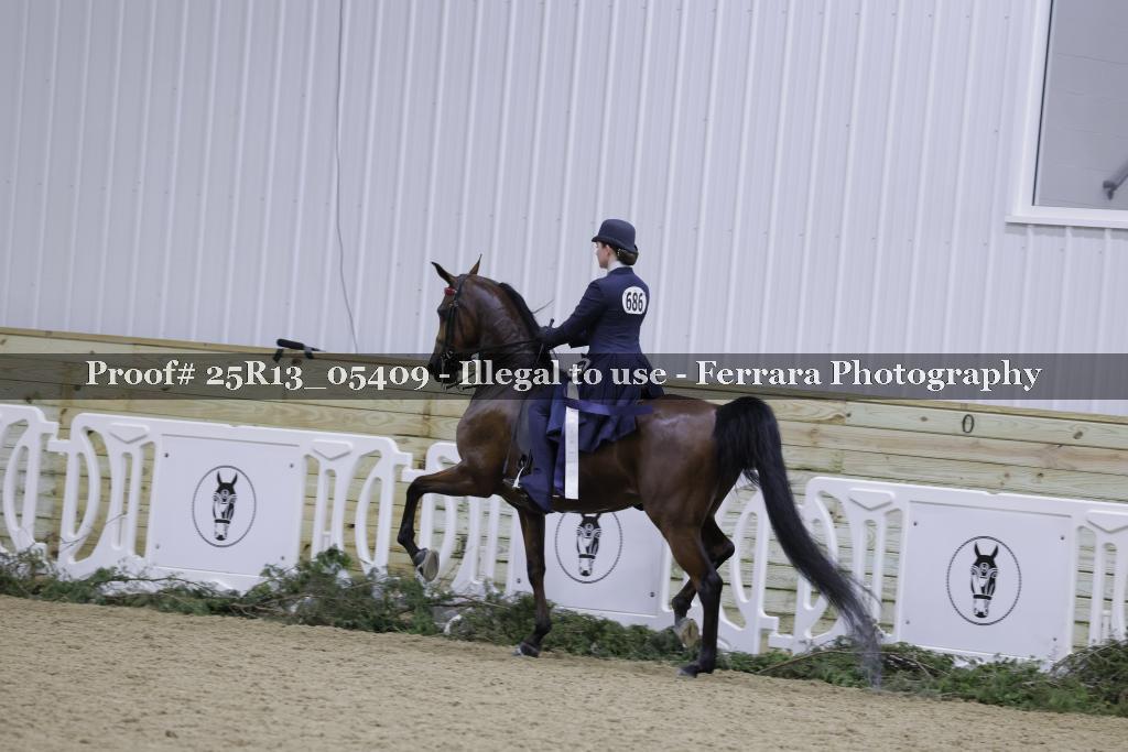 Proof Number 25R13_05409