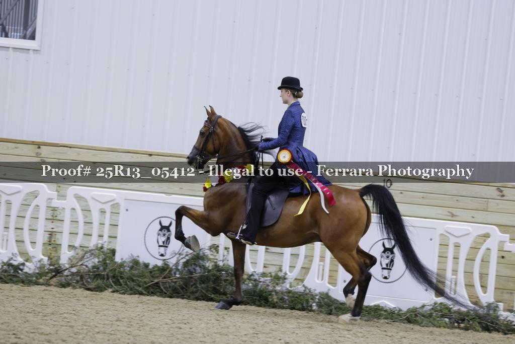 Proof Number 25R13_05412