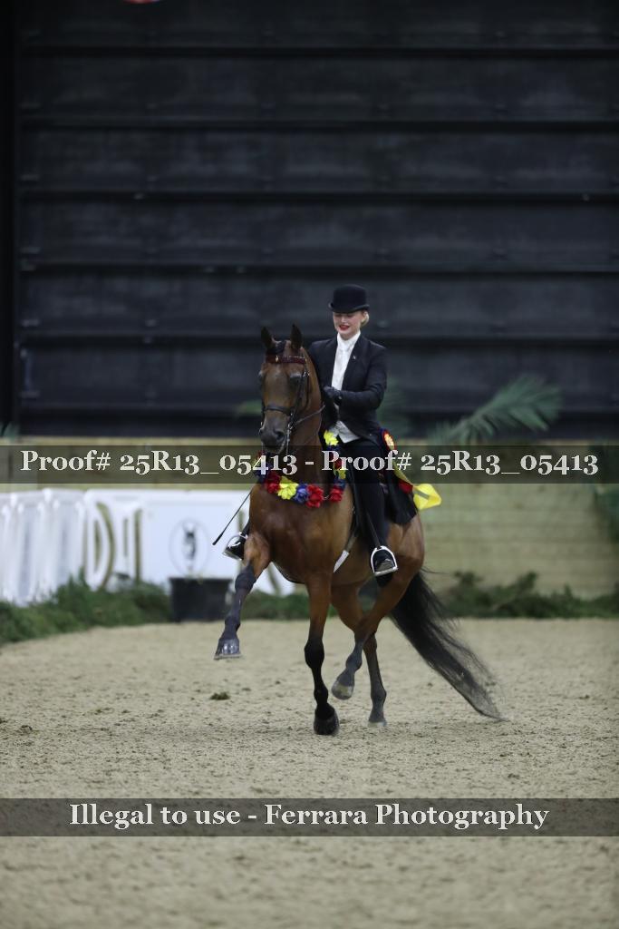 Proof Number 25R13_05413