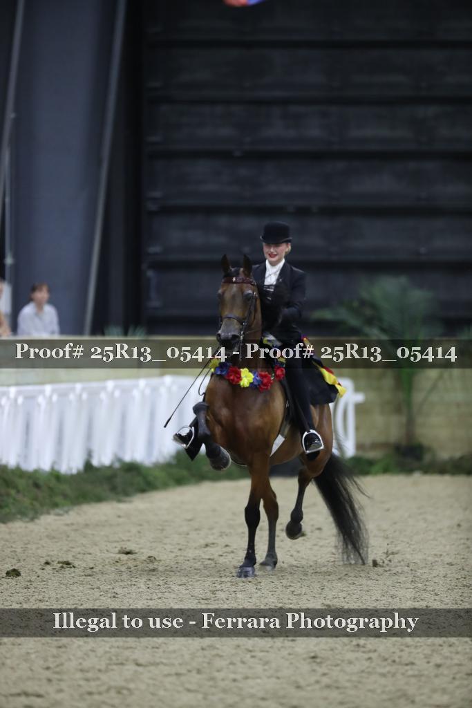 Proof Number 25R13_05414