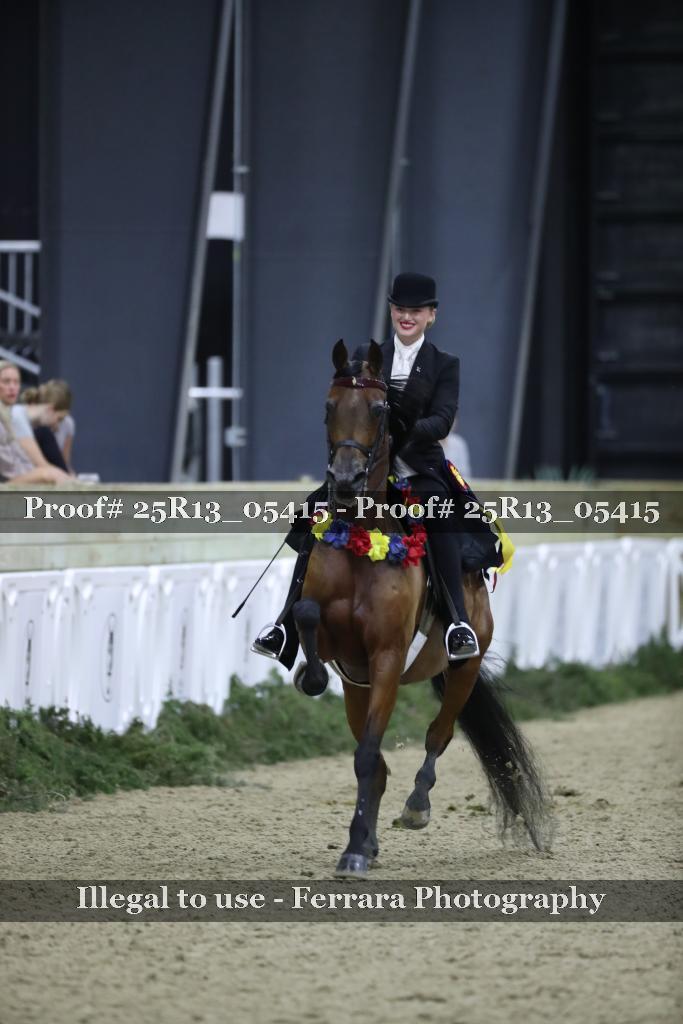 Proof Number 25R13_05415