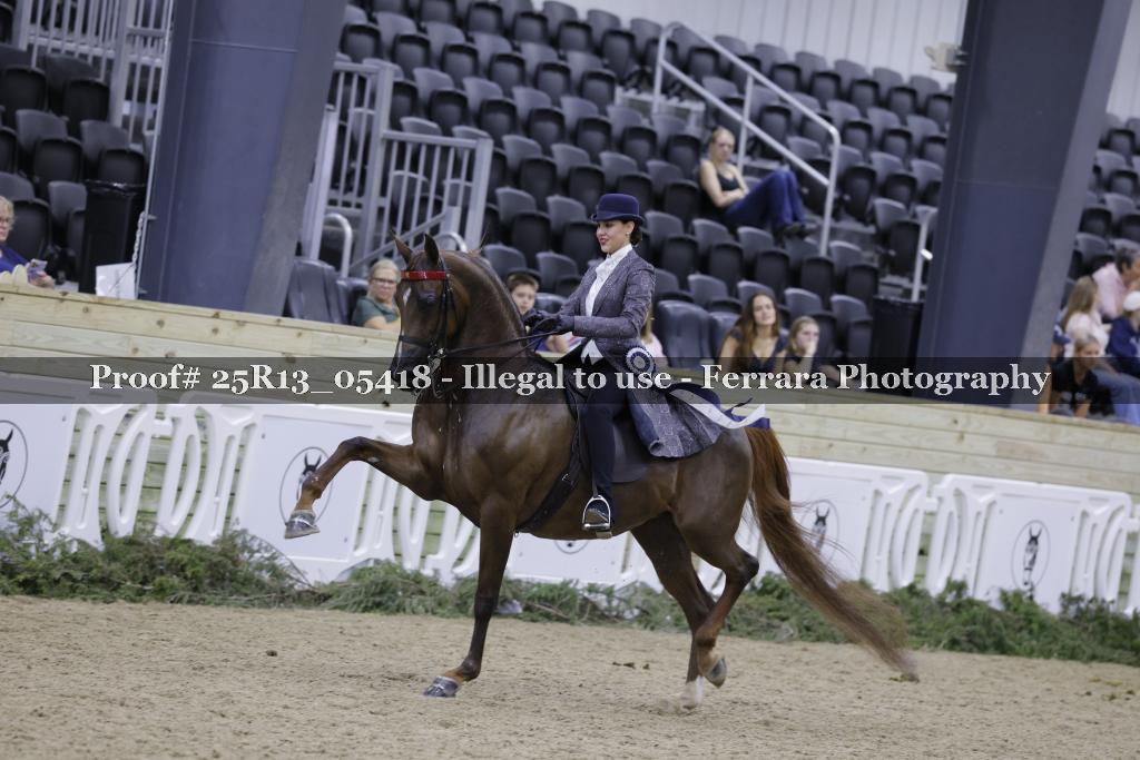 Proof Number 25R13_05418