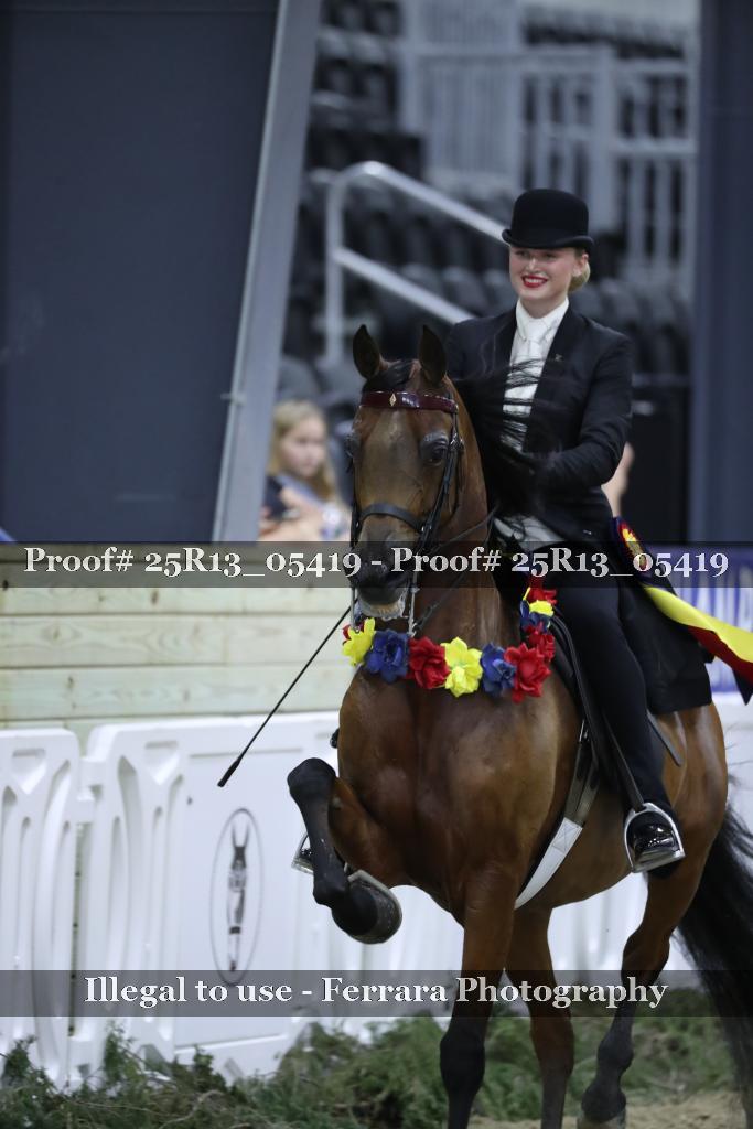 Proof Number 25R13_05419