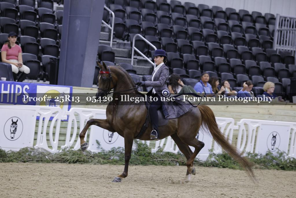 Proof Number 25R13_05420