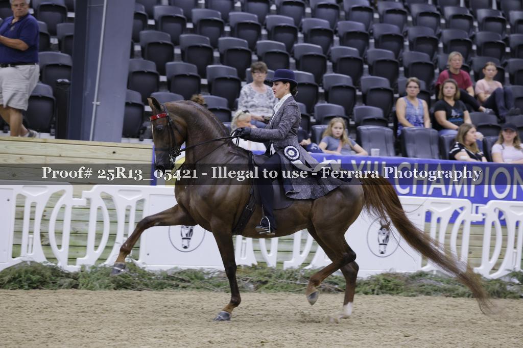 Proof Number 25R13_05421