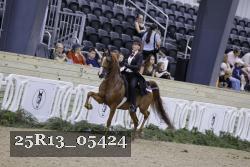 25R13_05424 thumbnail