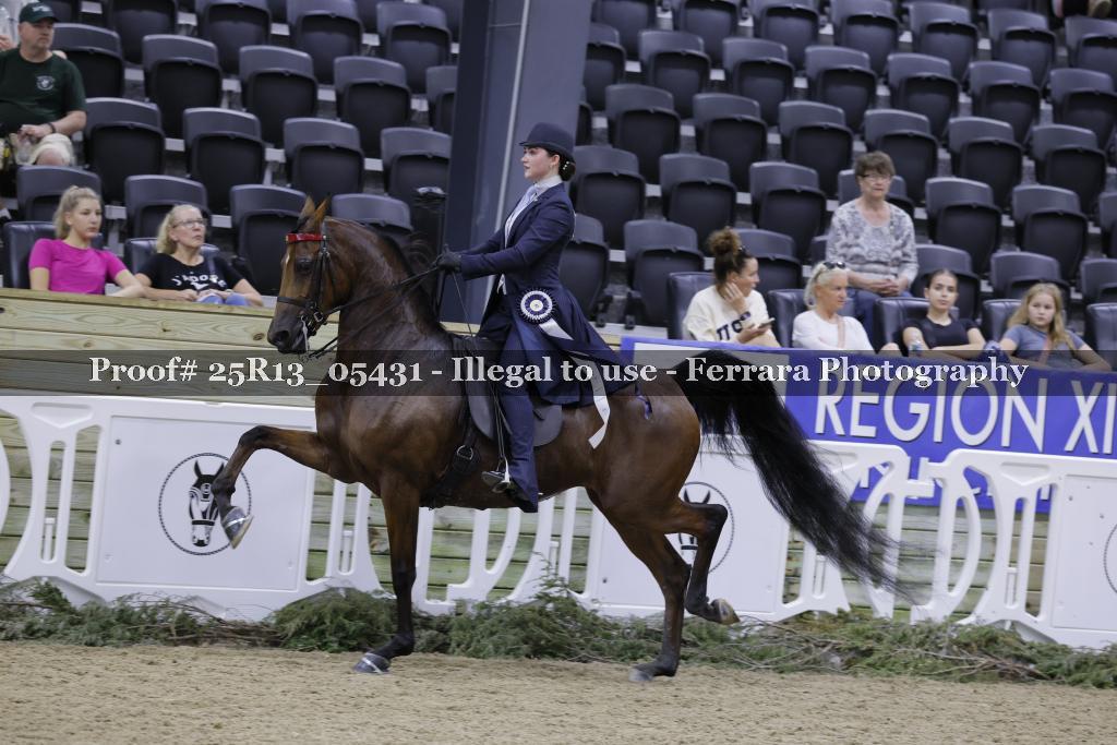Proof Number 25R13_05431