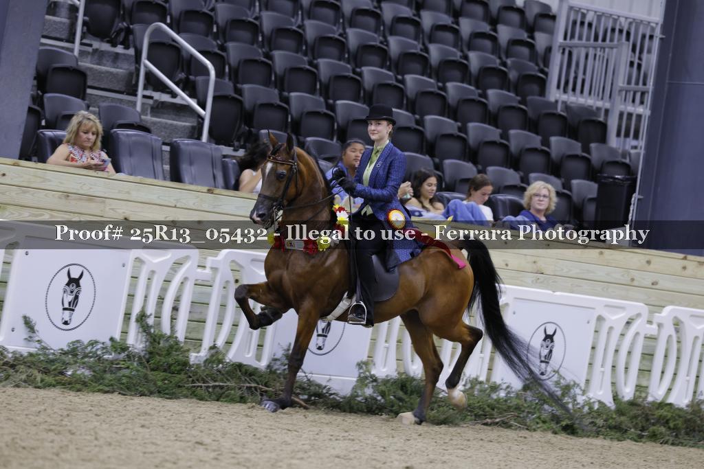 Proof Number 25R13_05432
