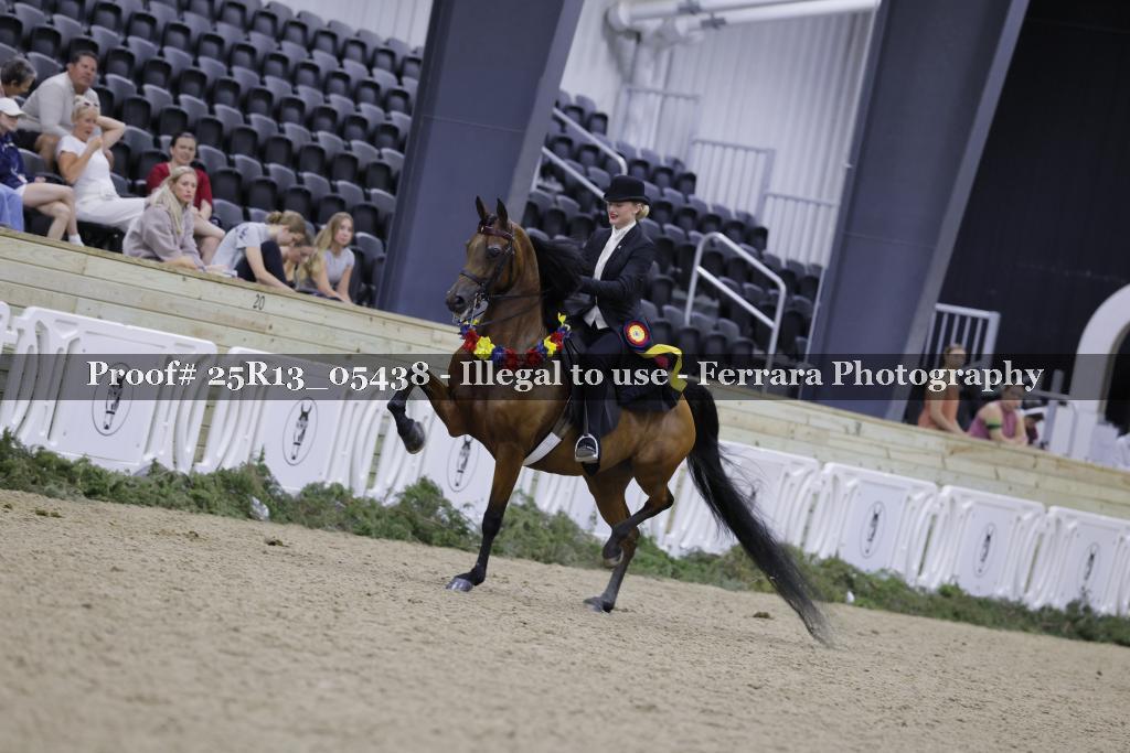 Proof Number 25R13_05438