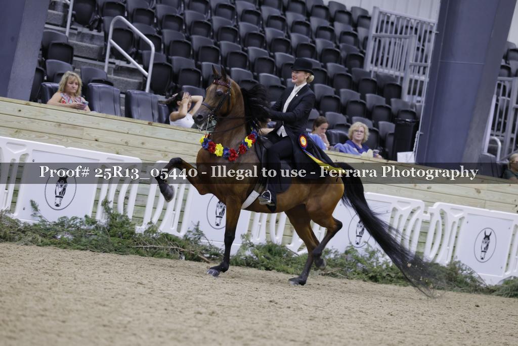 Proof Number 25R13_05440