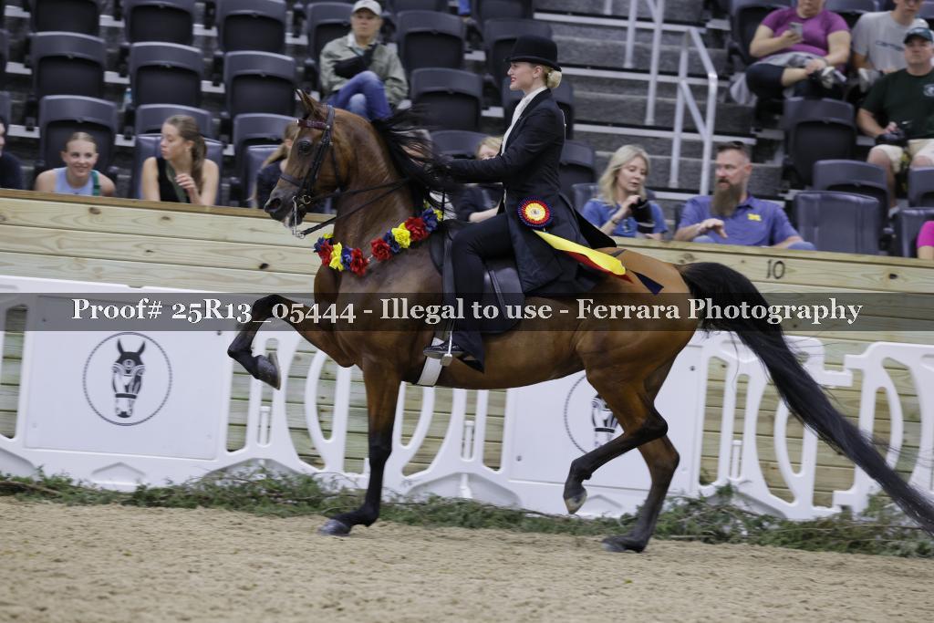 Proof Number 25R13_05444