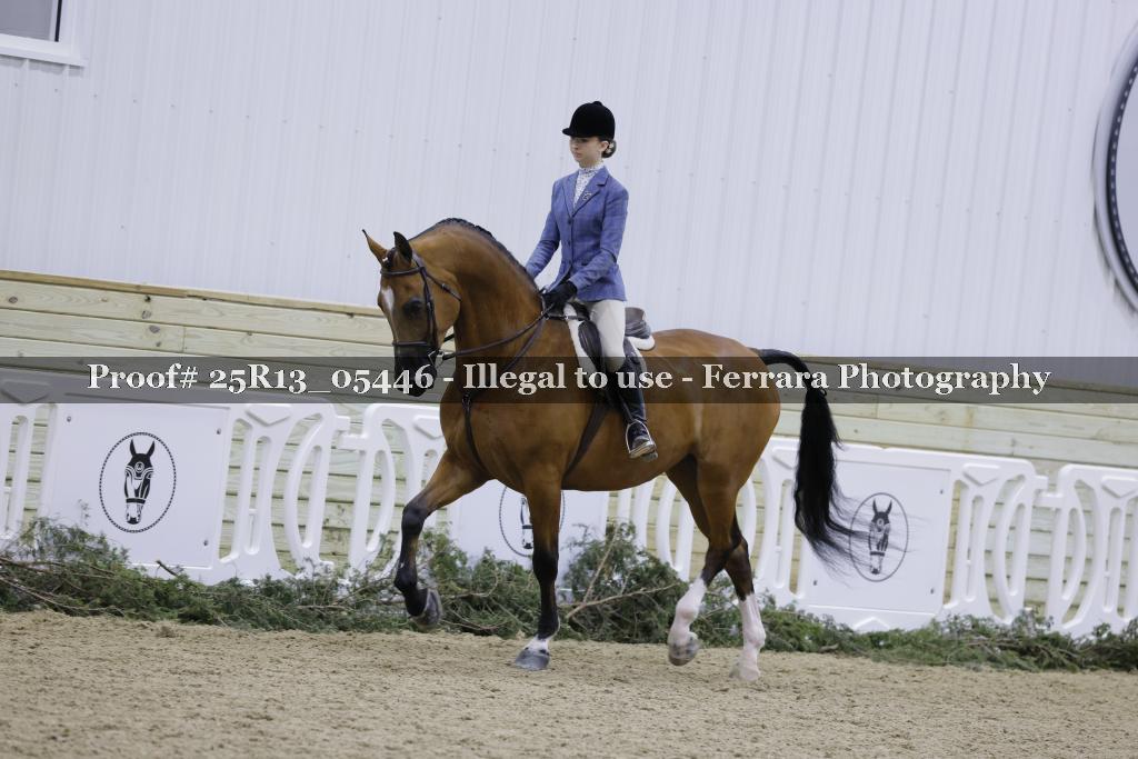 Proof Number 25R13_05446