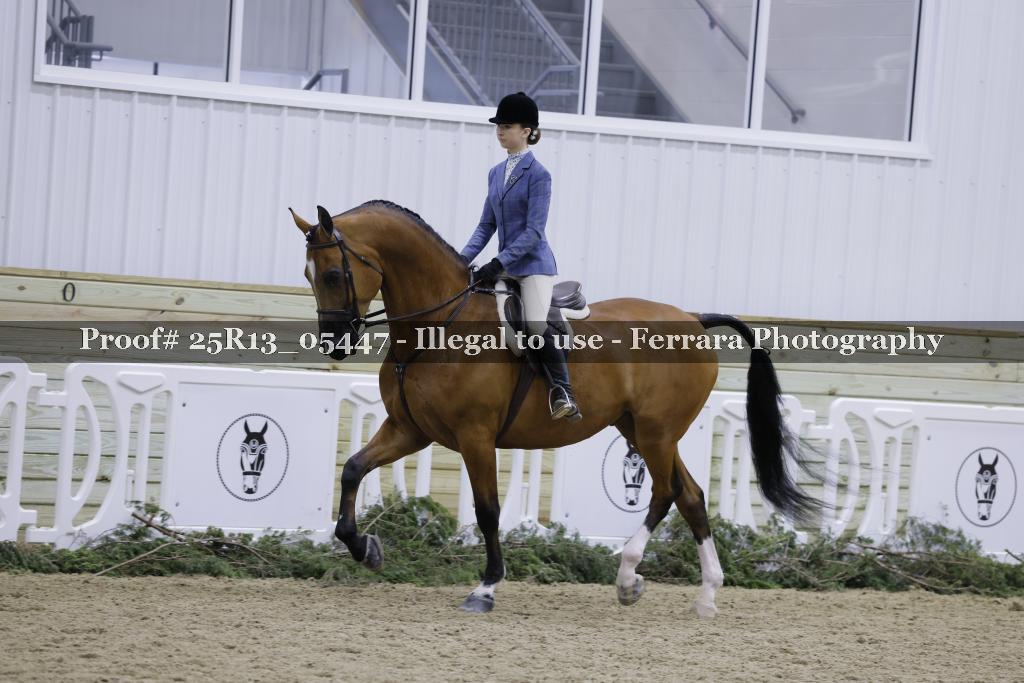 Proof Number 25R13_05447