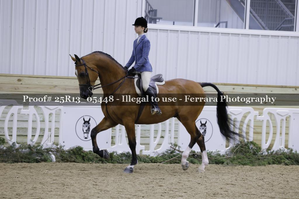 Proof Number 25R13_05448