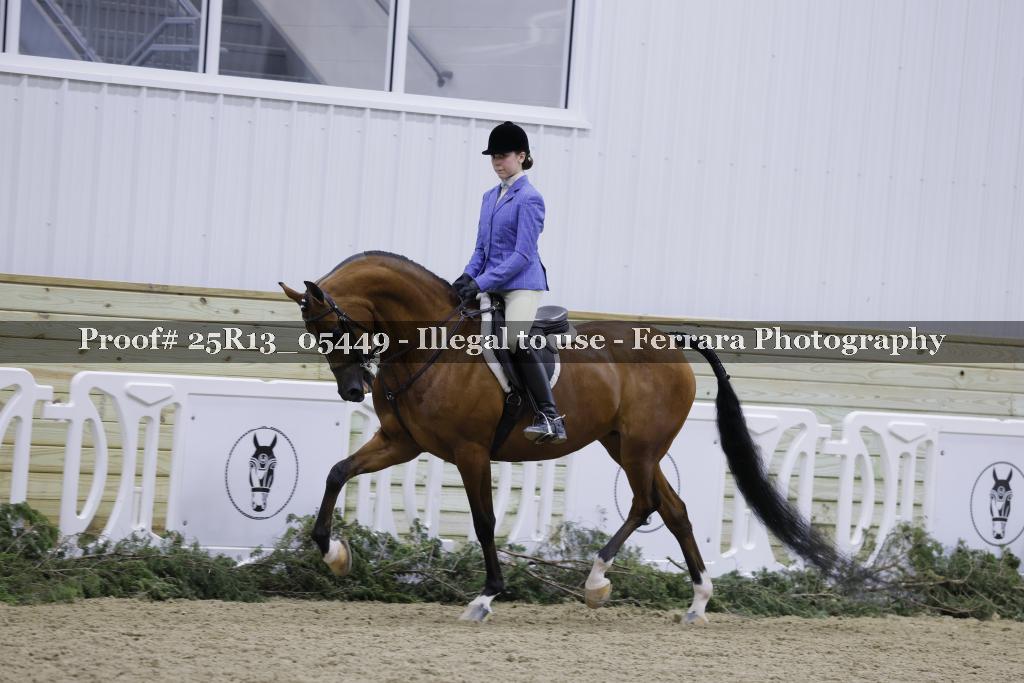 Proof Number 25R13_05449